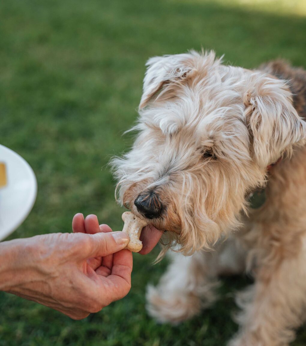 TheAbernathy LifestylePhoto 3